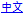 中文