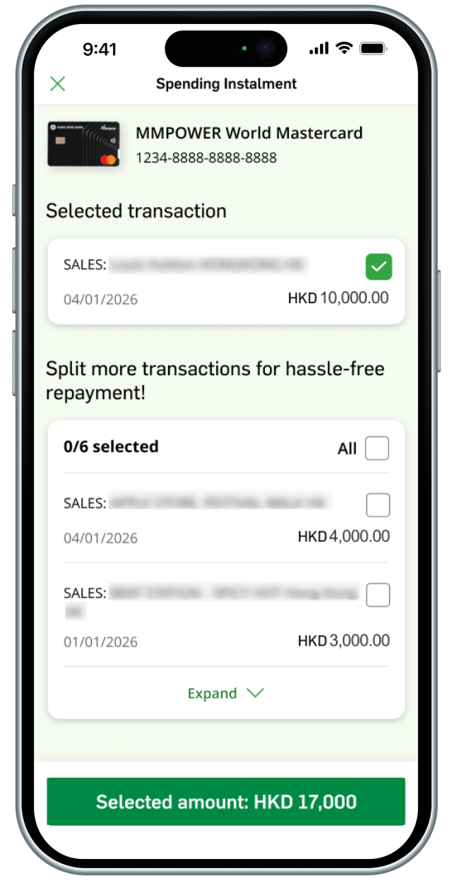 Step 2 for applying Instalment payment on a single transaction