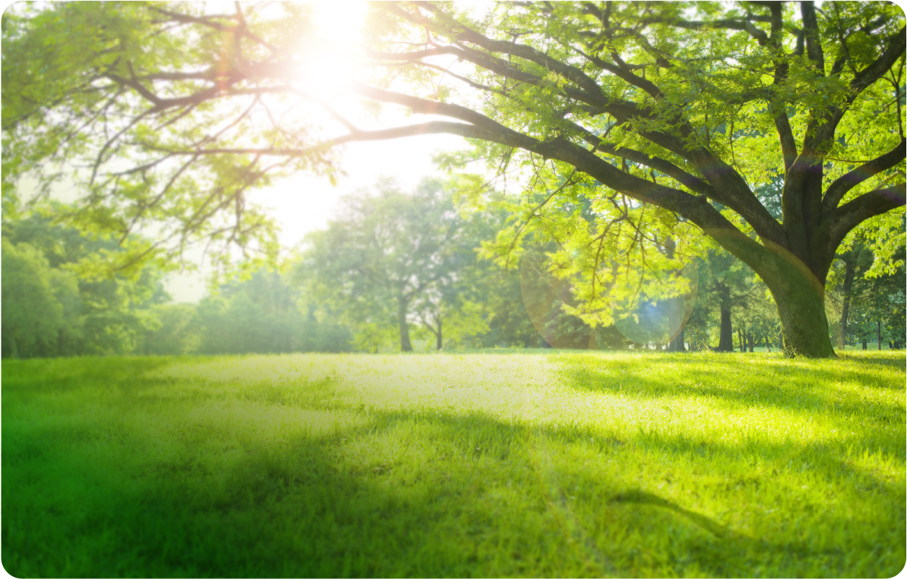 Environmental, Social & Governance Report 2021