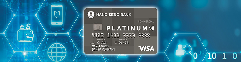 Visa Platinum Commercial Card