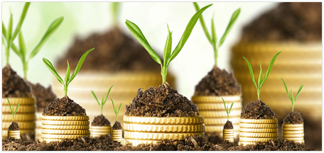 Monthly Investment Plan
